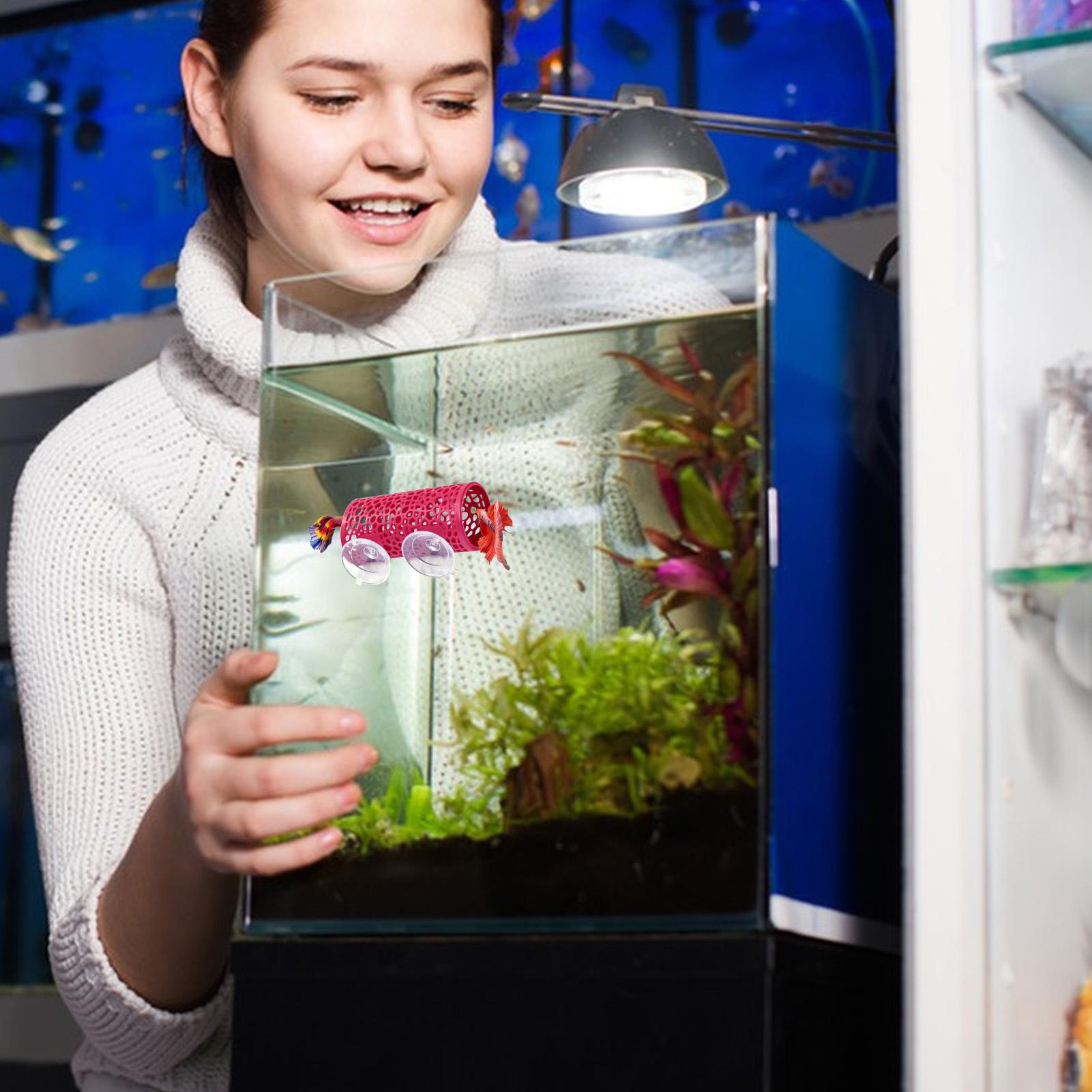 Aquarium Fish Youtube - Betta Habitat Resting Shelter Ornament Fish