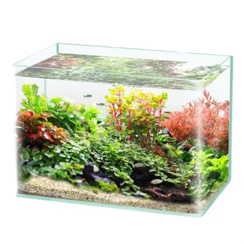 Box Fish In Aquarium - Box Packing Desktop Aquarium Ultra White