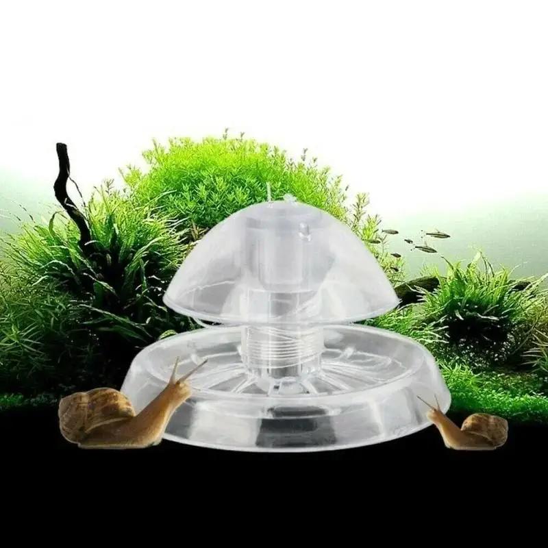 Box Fish In Aquarium - 2026 New 6/8CM Clear Plastic Snail