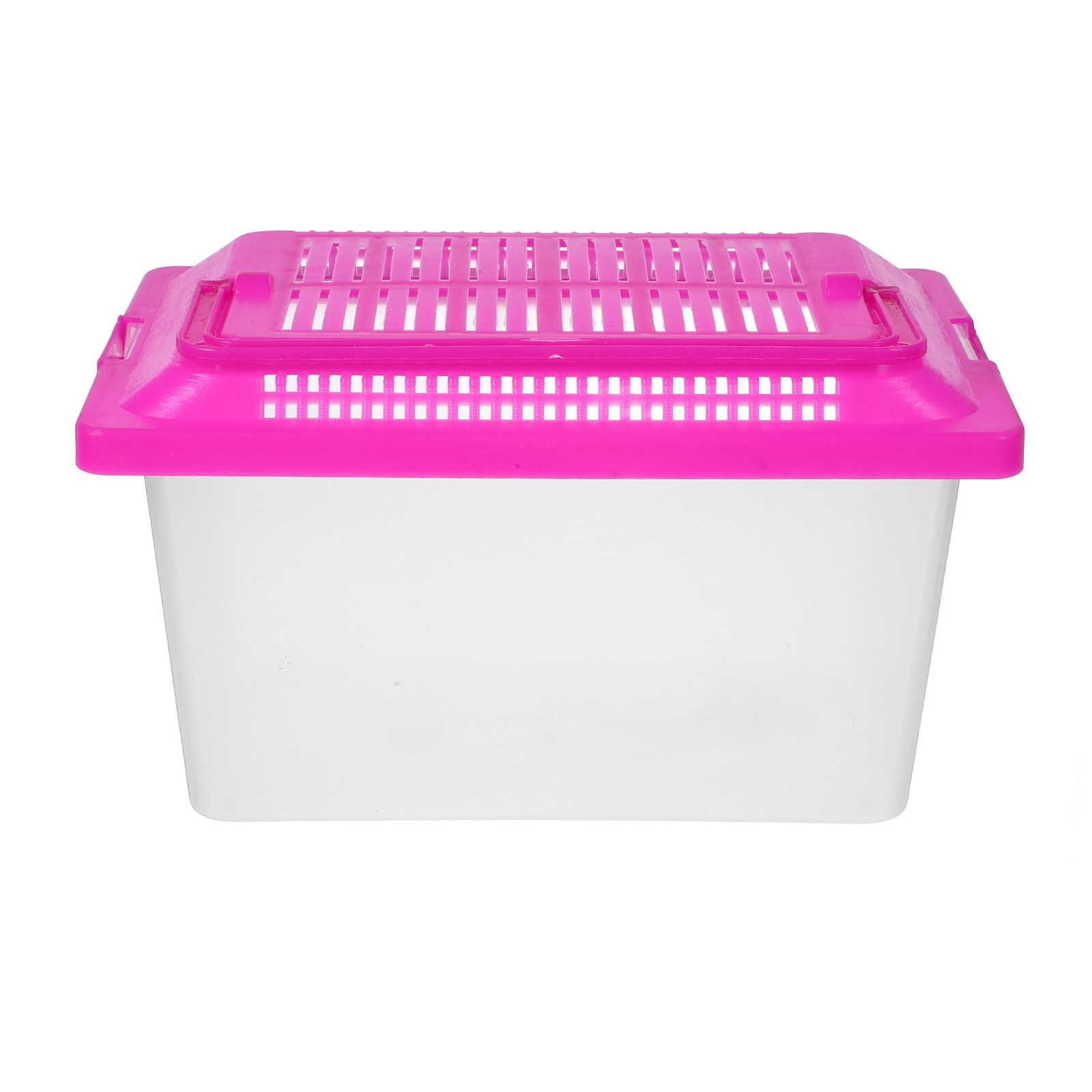 Box Fish In Aquarium - Portable Fish Tank Transparent Turtle Holder