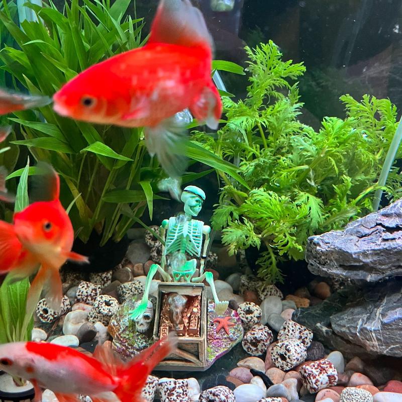 Aquarium Fish Only - Fish Tank Aerobic Landscape Bubble Air