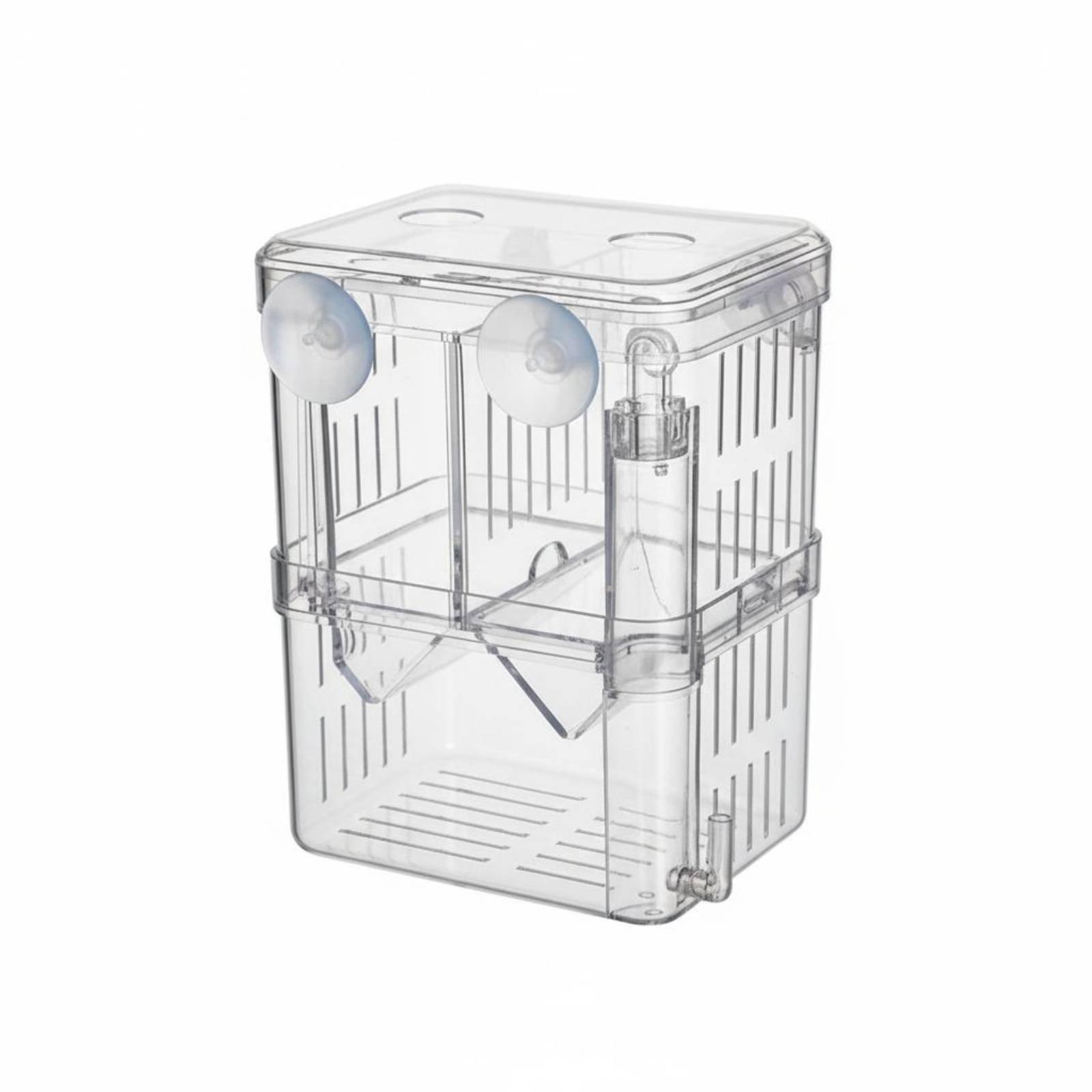 Box Fish In Aquarium - Double Layer Aquarium Breeding Tank Fry