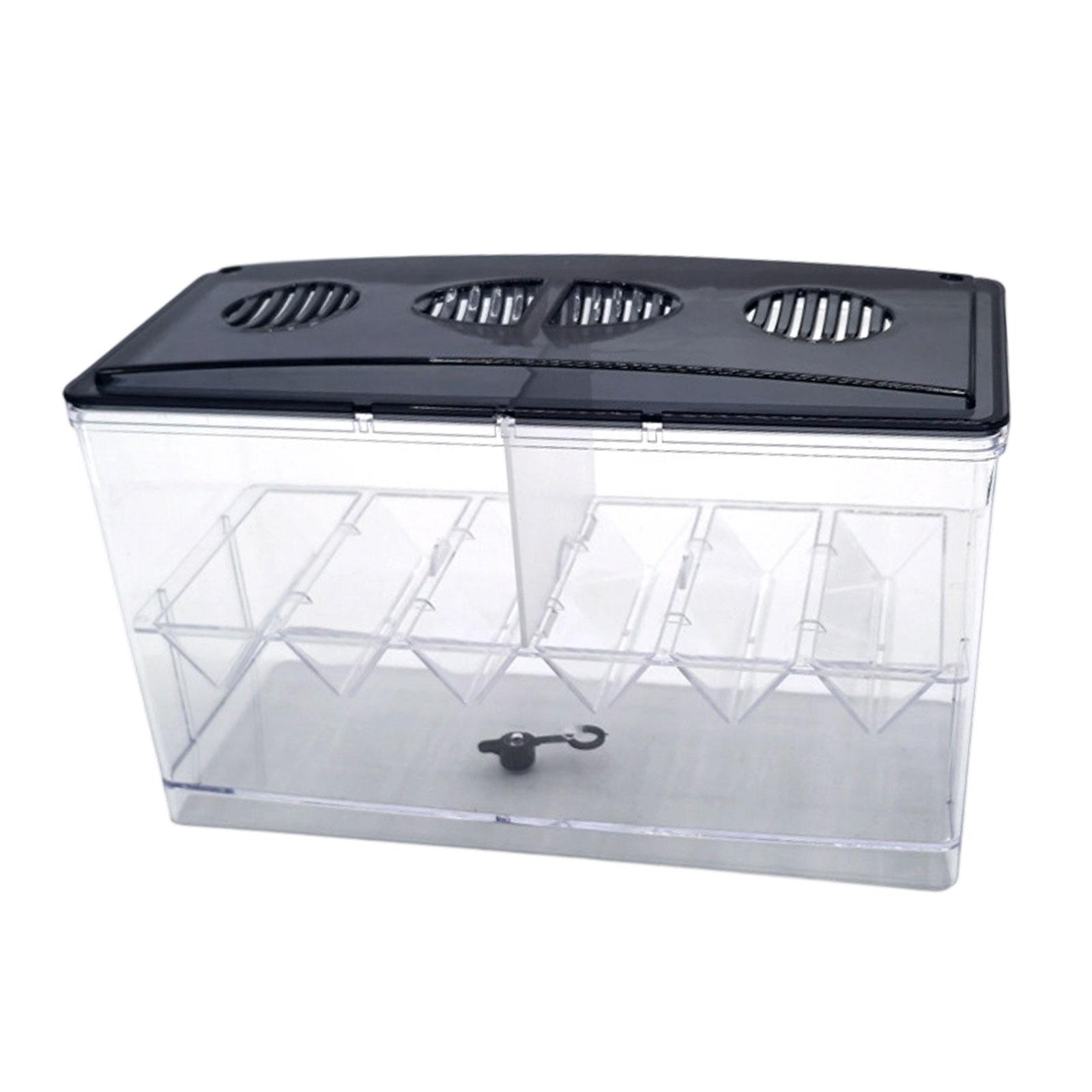 Box Fish In Aquarium - Floating Fish Breeding Isolation Box Detachable