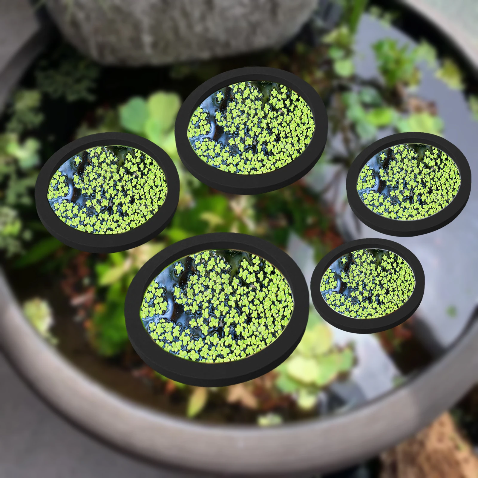 Aquarium Fish Farm - 5Pcs EVA Fish Feeding Ring Aquarium