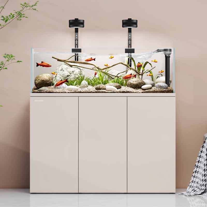 Aquarium Fish Live - Minjiang stream tank landscaping fish tank