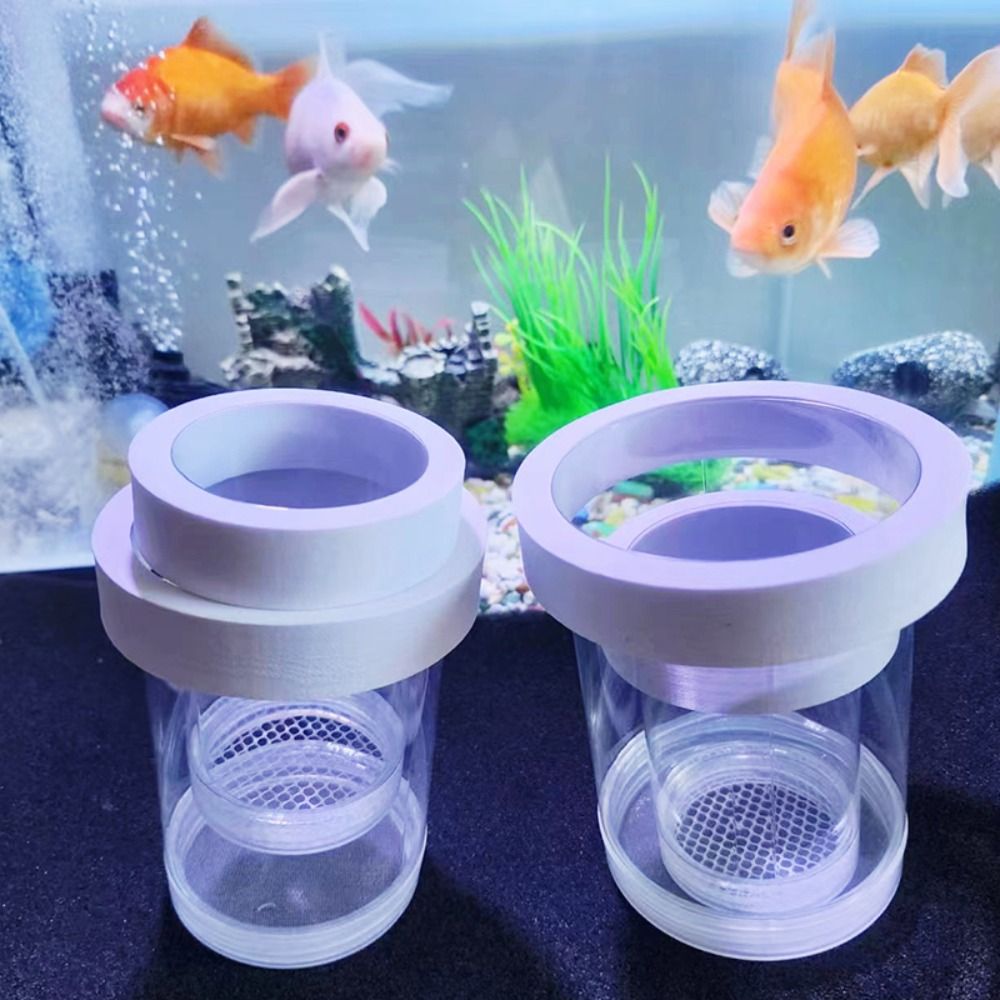 Box Fish In Aquarium - Plastic Floating Fish Breeding Isolation Box
