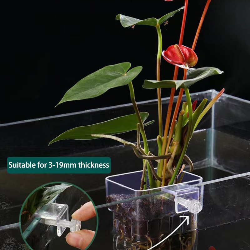 Box Fish In Aquarium - Multifunctional Fish Aquarium Water Grass Planting