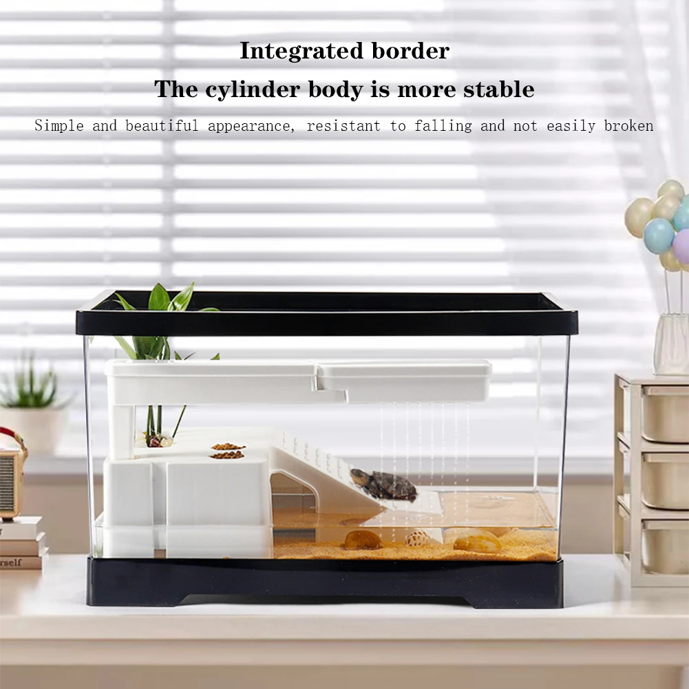Box Fish In Aquarium - Large Transparent Turtle Tank Aquarium Fish