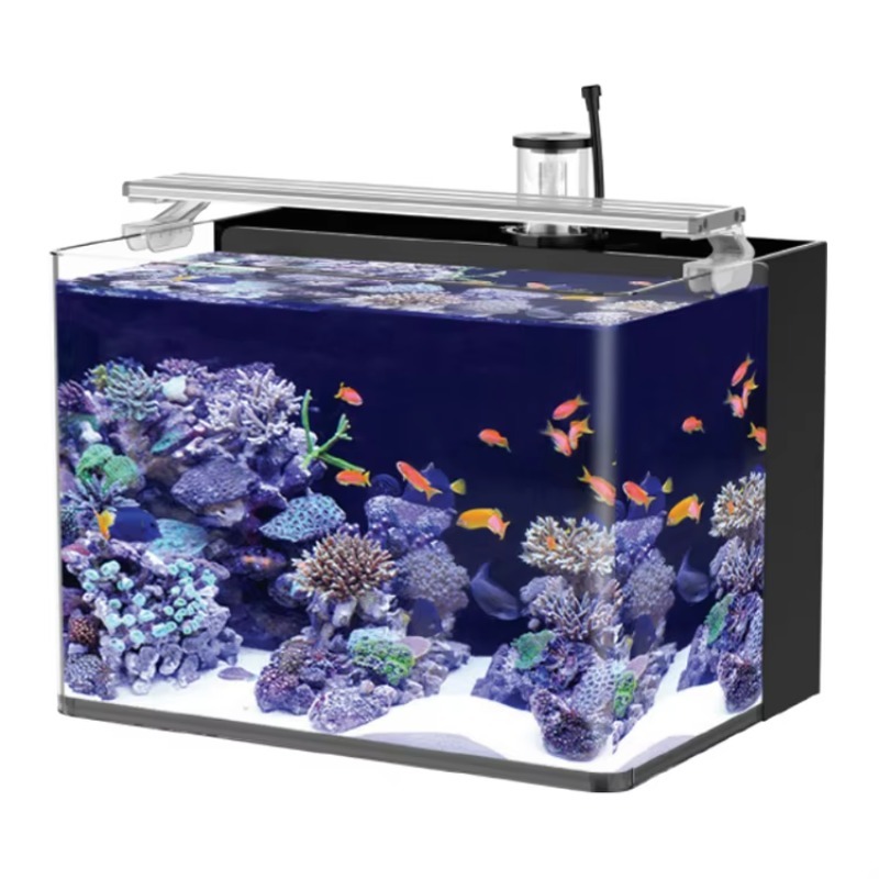 Aquarium Fish Live - Table Curved Saltwater Marine Fish Tank