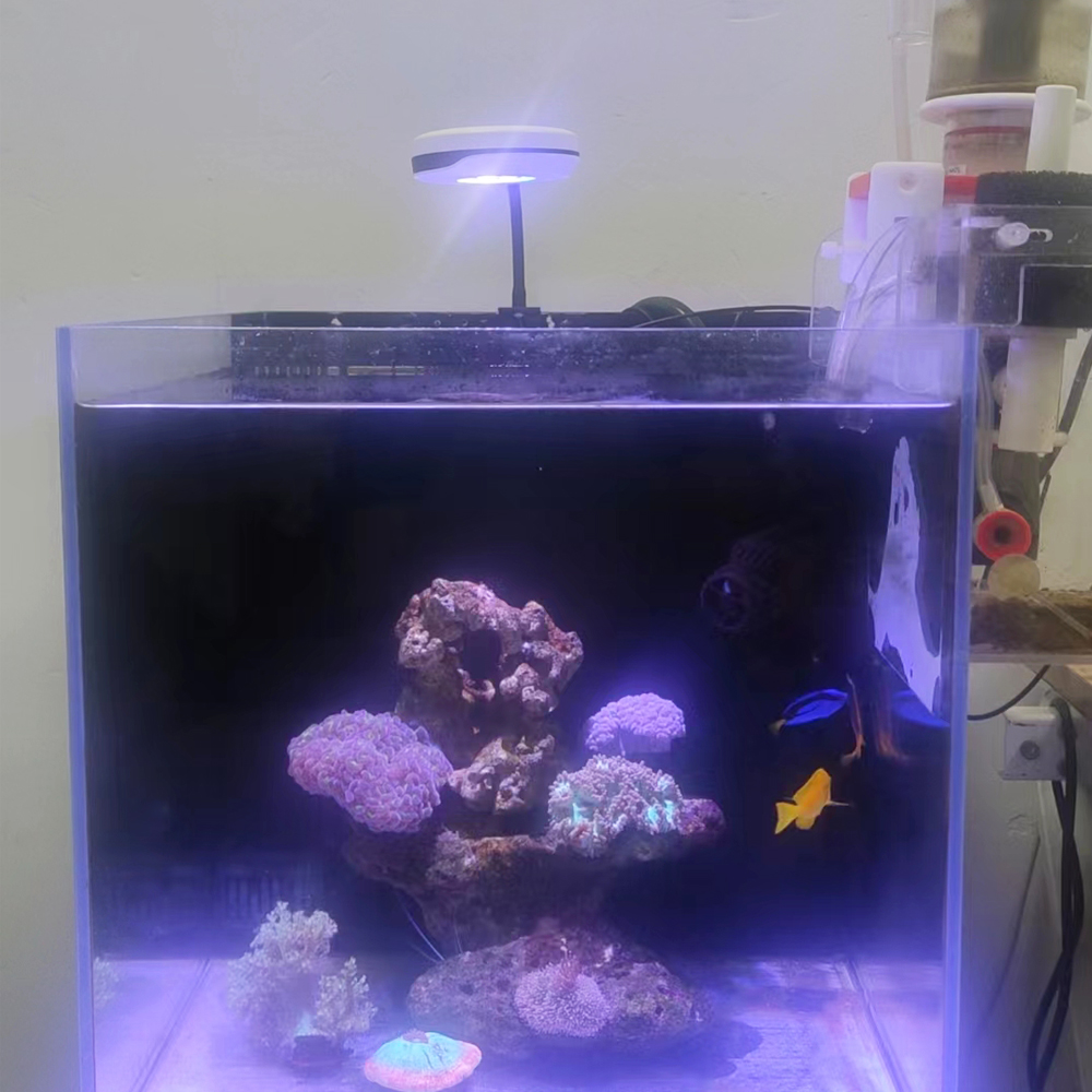Spectra 20W Nano Clip ON Refug - Refugium Light Nano recension och pris