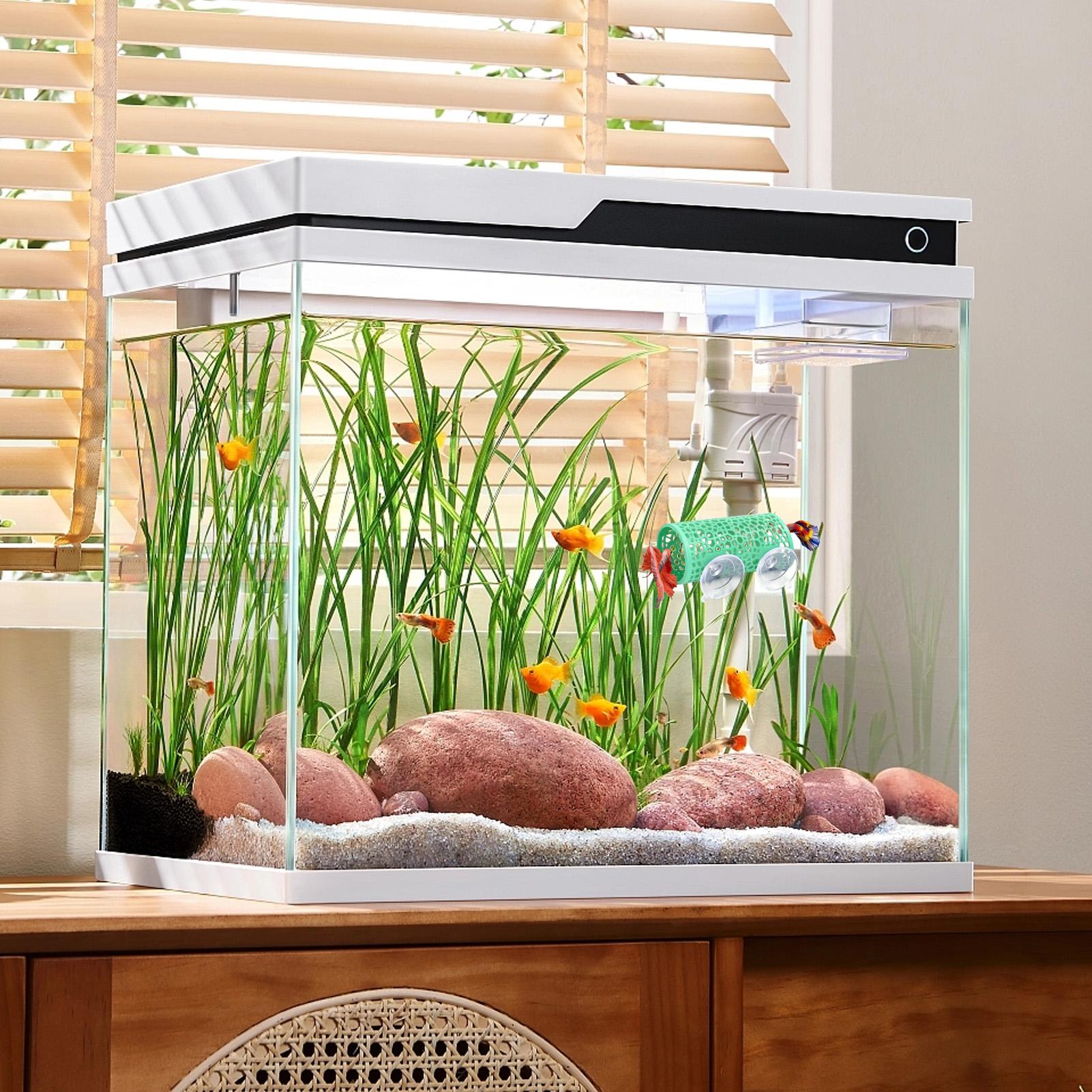 Betta Habitat Resting Shelter  - Aquarium Fish Youtube recension och pris
