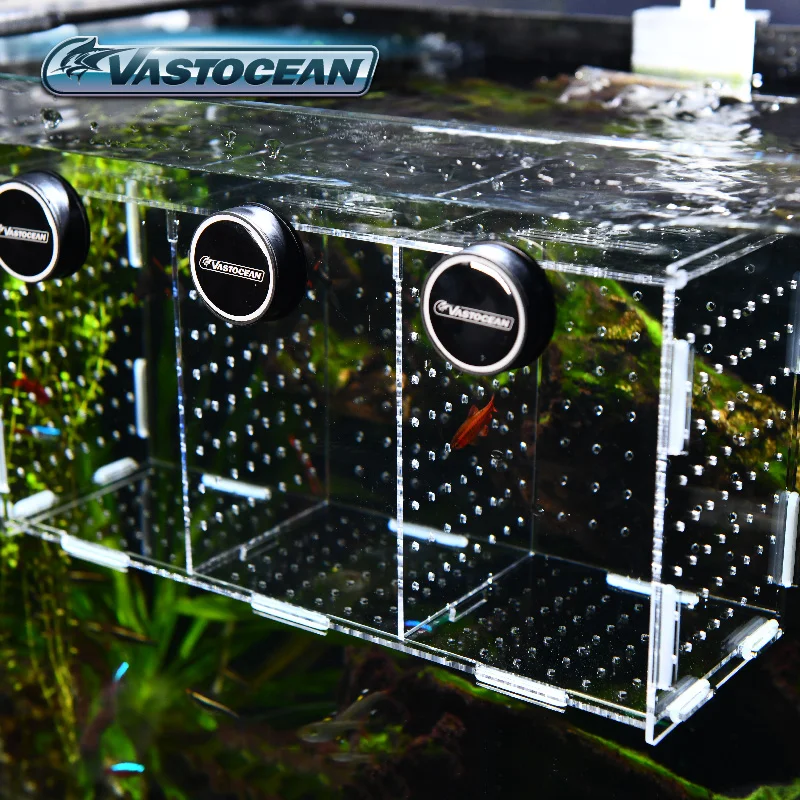 VASTOCEAN Fish Tank Magnetic C - Box Fish In Aquarium recension och pris
