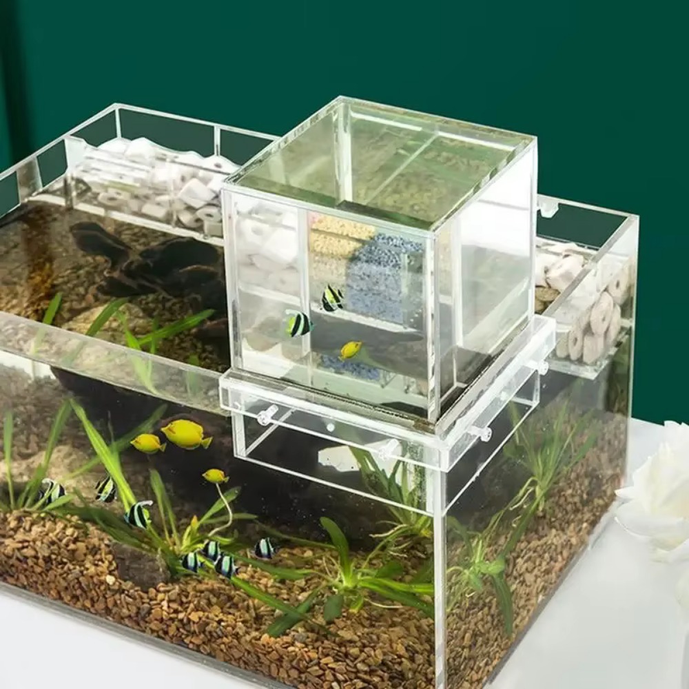 Landscaping Negative Pressure  - Aquarium Goldfish recension och pris