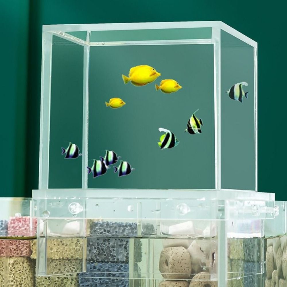 Landscaping Negative Pressure  - Aquarium Goldfish recension och pris