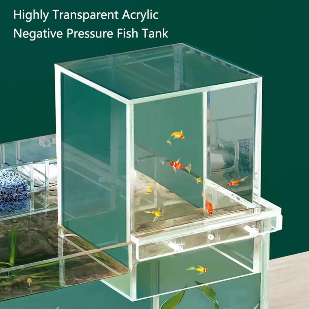 Landscaping Negative Pressure  - Aquarium Goldfish recension och pris