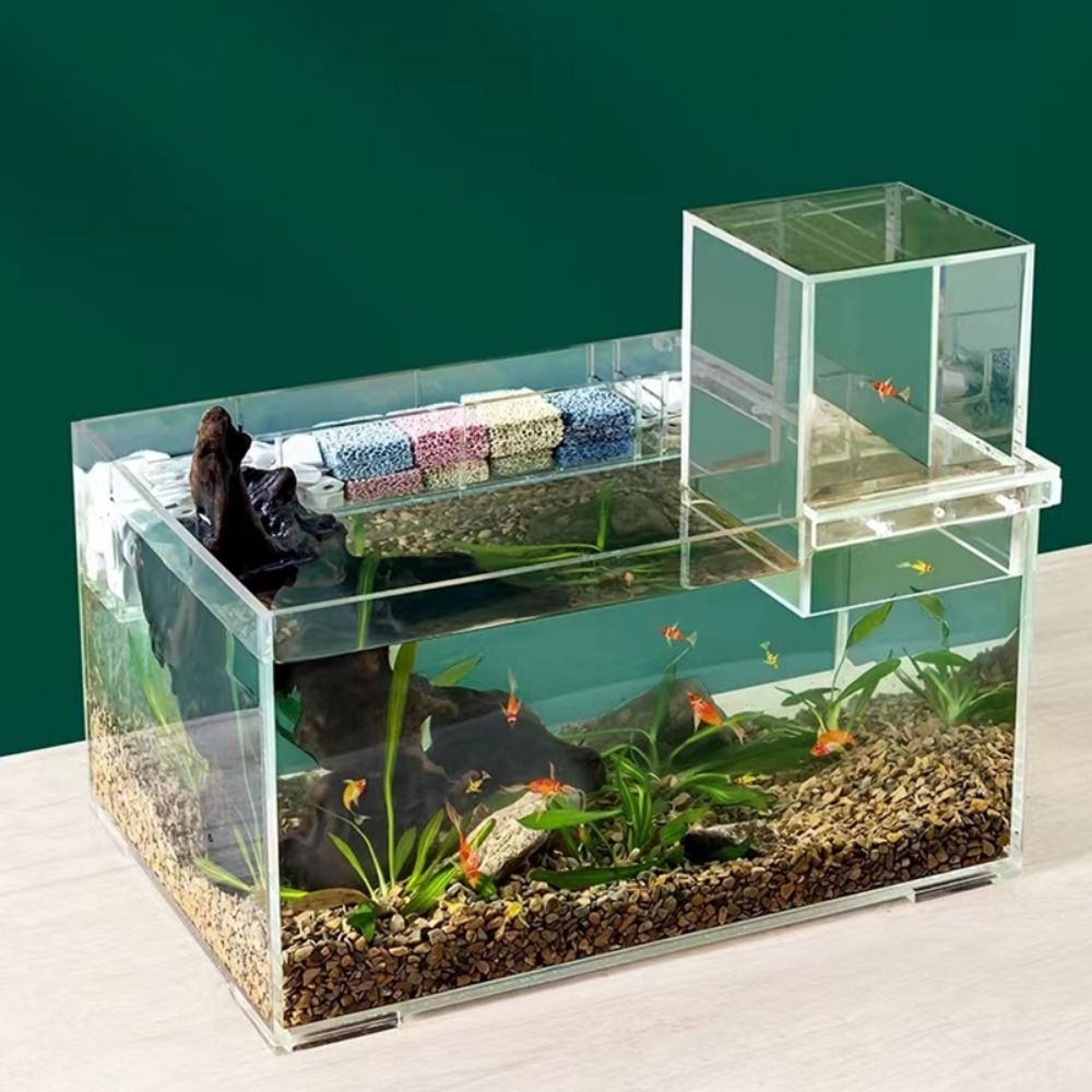 Landscaping Negative Pressure  - Aquarium Goldfish recension och pris