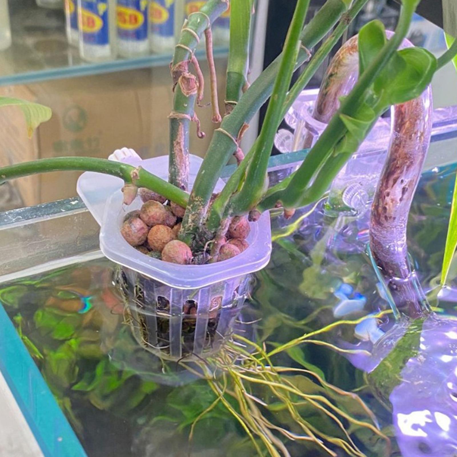 Hydroponic Plant Hanging Holde - Aquarium Fish Elevator recension och pris