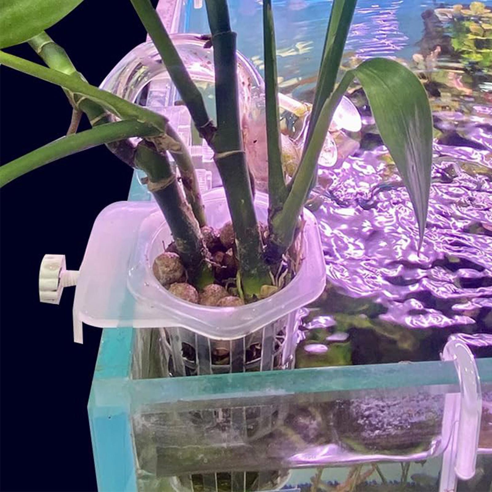 Hydroponic Plant Hanging Holde - Aquarium Fish Elevator recension och pris