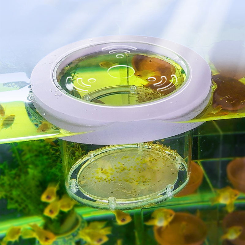 Suspended Fish Tank Breeding I - Box Fish In Aquarium recension och pris