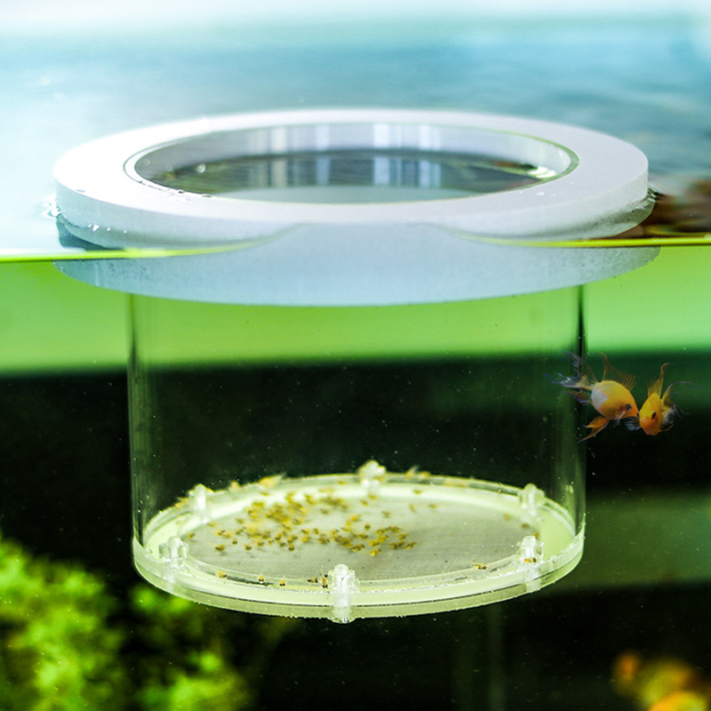 Suspended Fish Tank Breeding I - Box Fish In Aquarium recension och pris