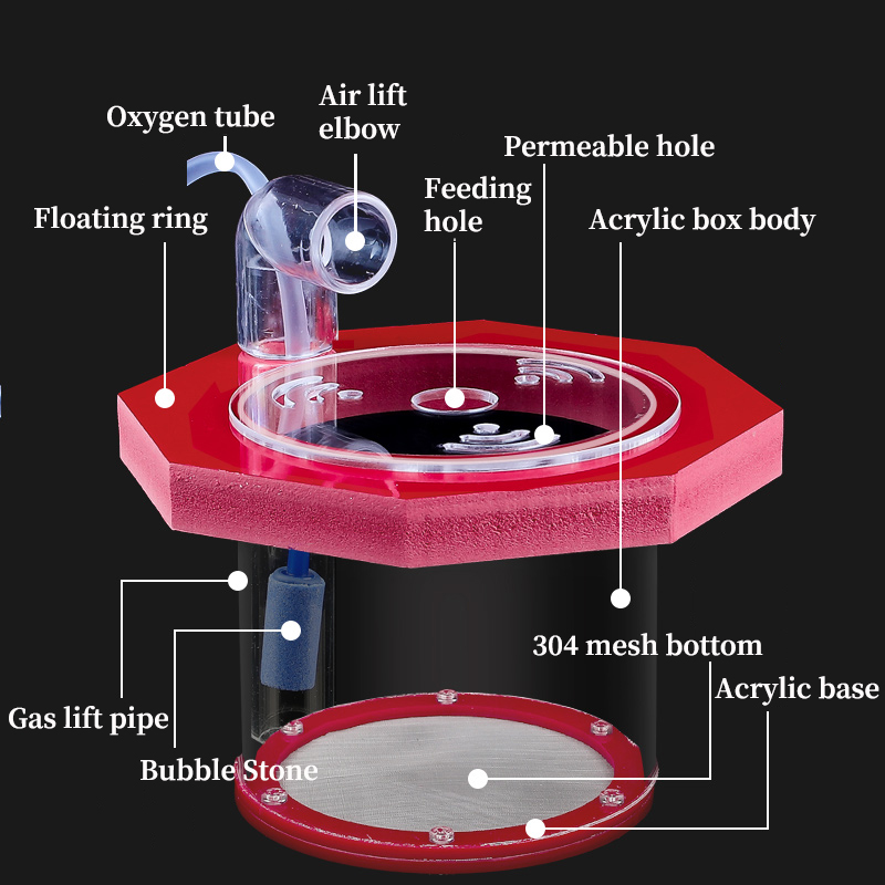 Suspended Fish Tank Breeding I - Box Fish In Aquarium recension och pris