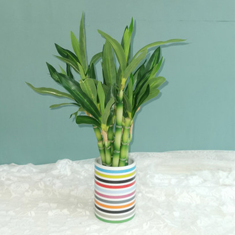 New 40cm rFtificial Lucky Bamb - Aquarium Fish Only recension och pris