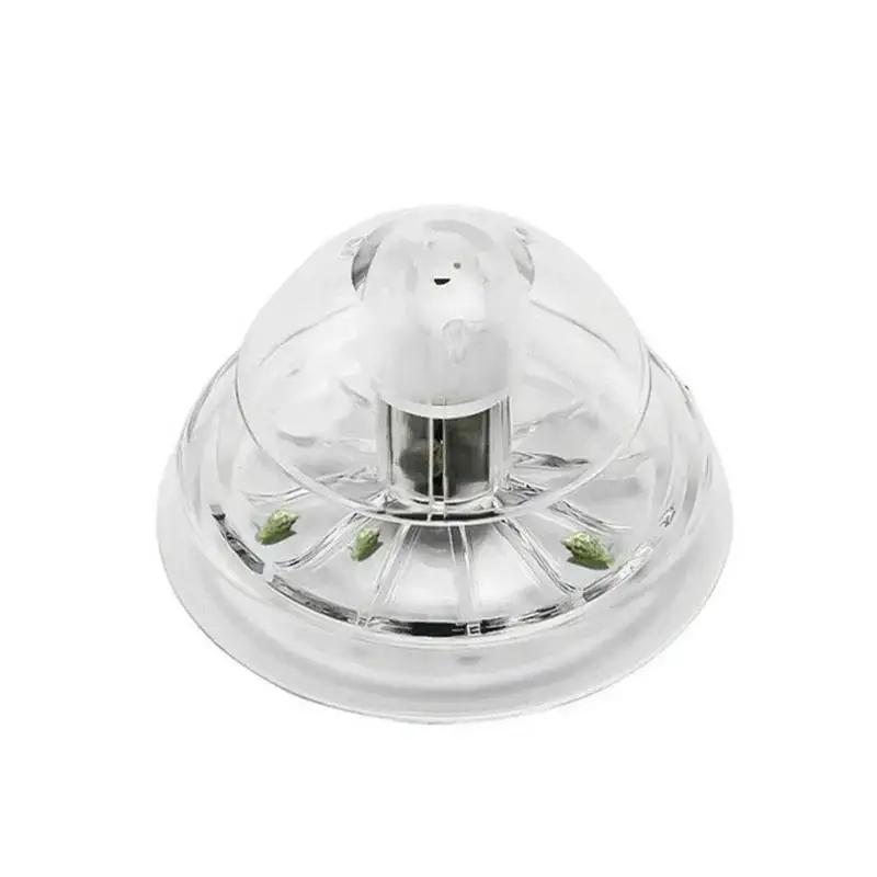 2026 New 6/8CM Clear Plastic S - Box Fish In Aquarium recension och pris
