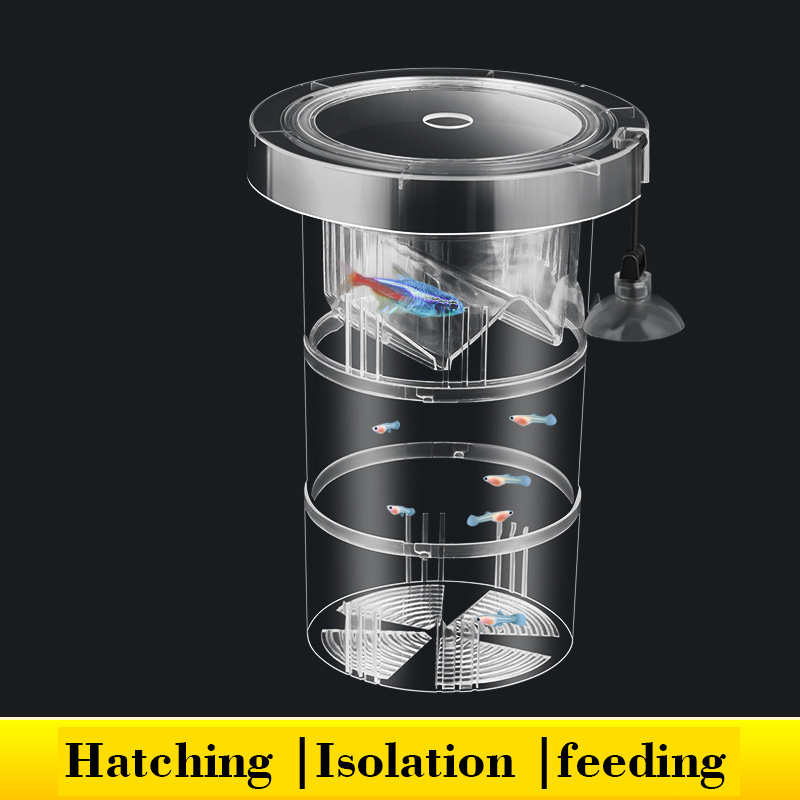 Floating Fish Breeding Isolati - Box Fish In Aquarium recension och pris