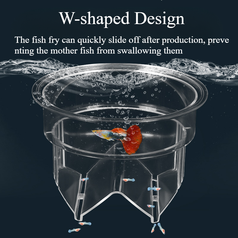 Floating Fish Breeding Isolati - Box Fish In Aquarium recension och pris