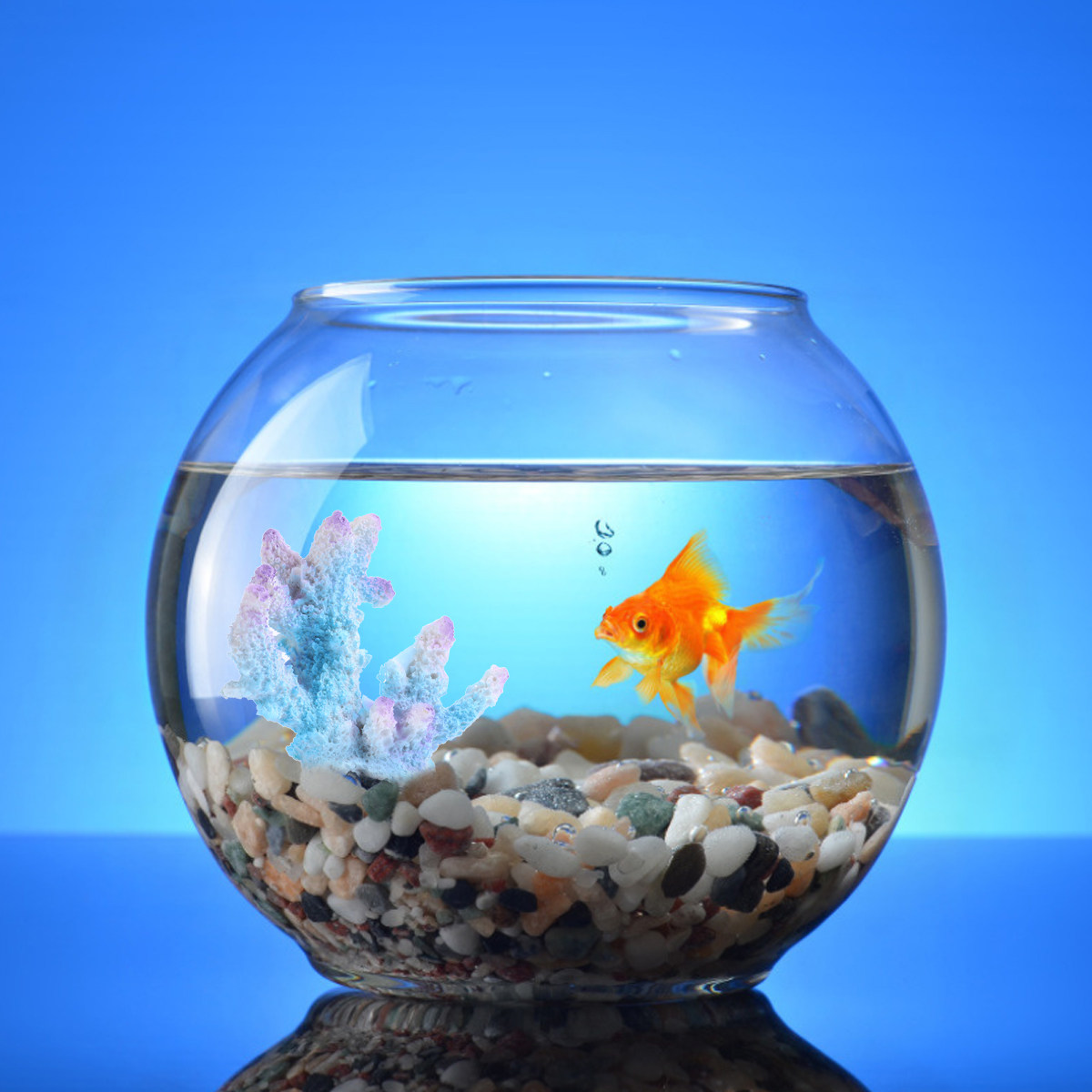 Creative Resin Aquarium Coral  - Aquarium Xl recension och pris
