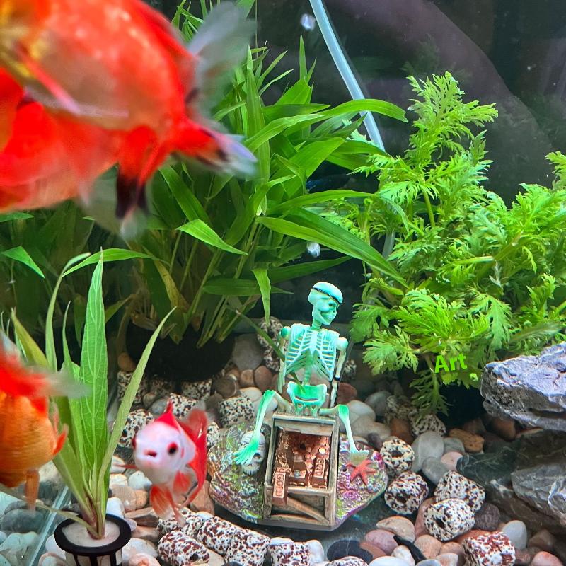 Fish Tank Aerobic Landscape Bu - Aquarium Fish Only recension och pris