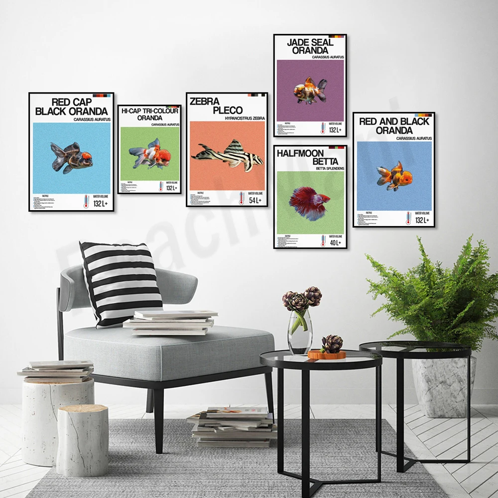 Fish information print, orname - Aquarium Fish Zebra recension och pris