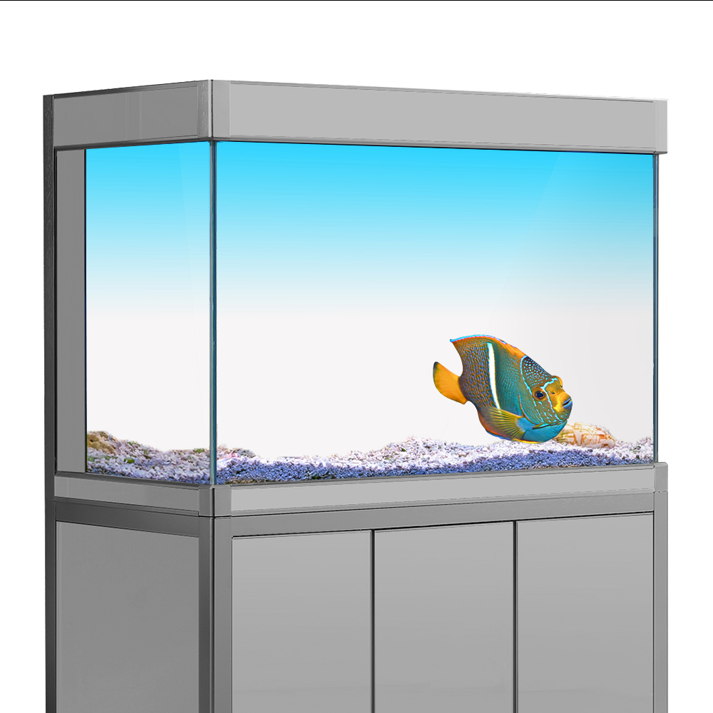 Fish Tank Background Sticker W - Aquarium Fish Yellow recension och pris
