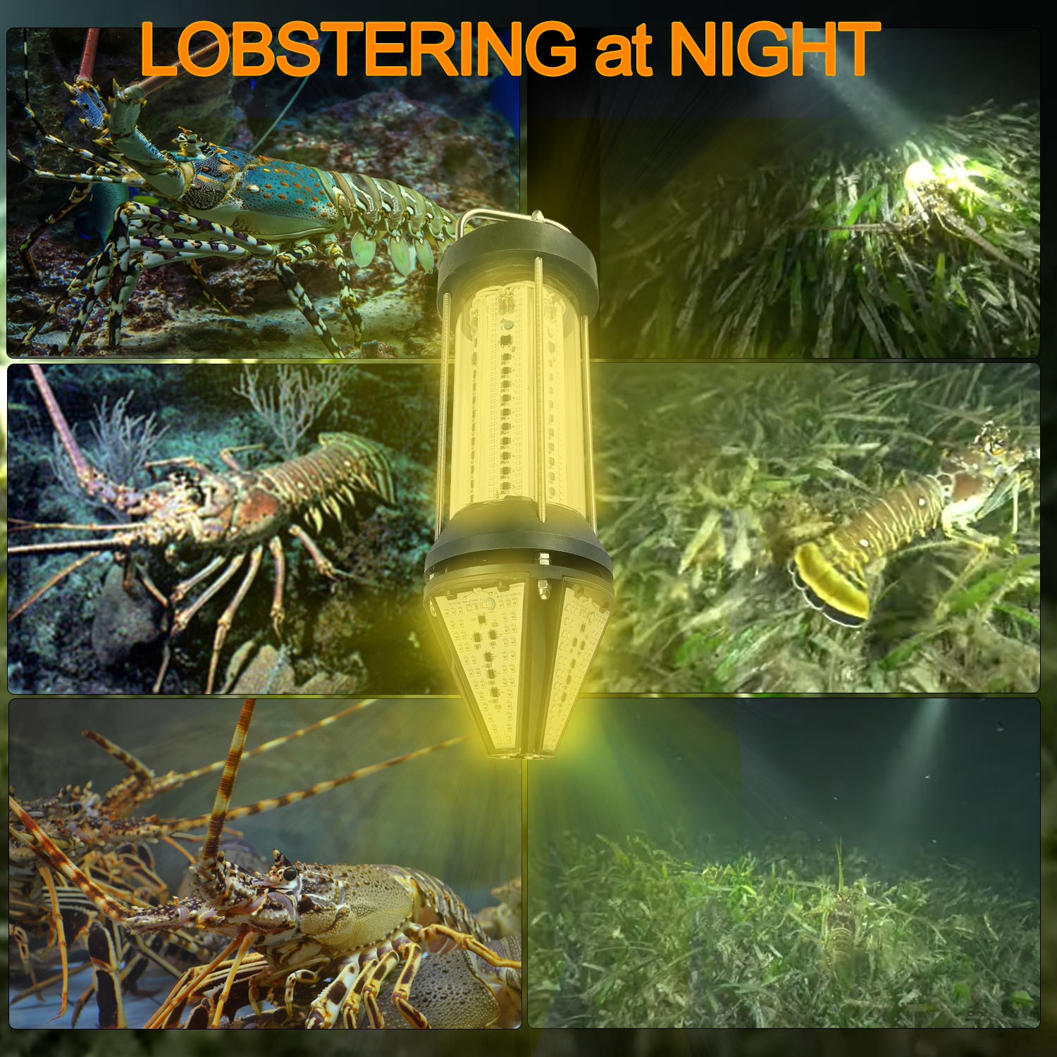 Green Blue White Yellow Outdoo - Aquarium Fish Yellow recension och pris