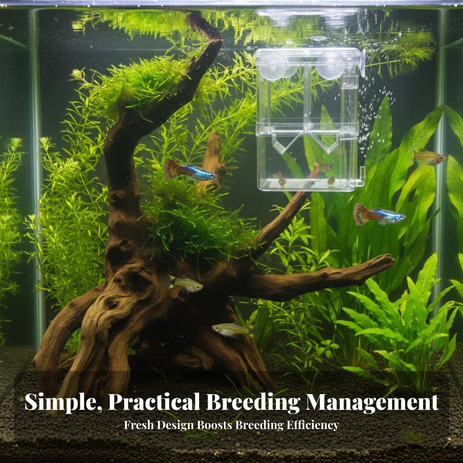 Double Layer Aquarium Breeding - Box Fish In Aquarium recension och pris