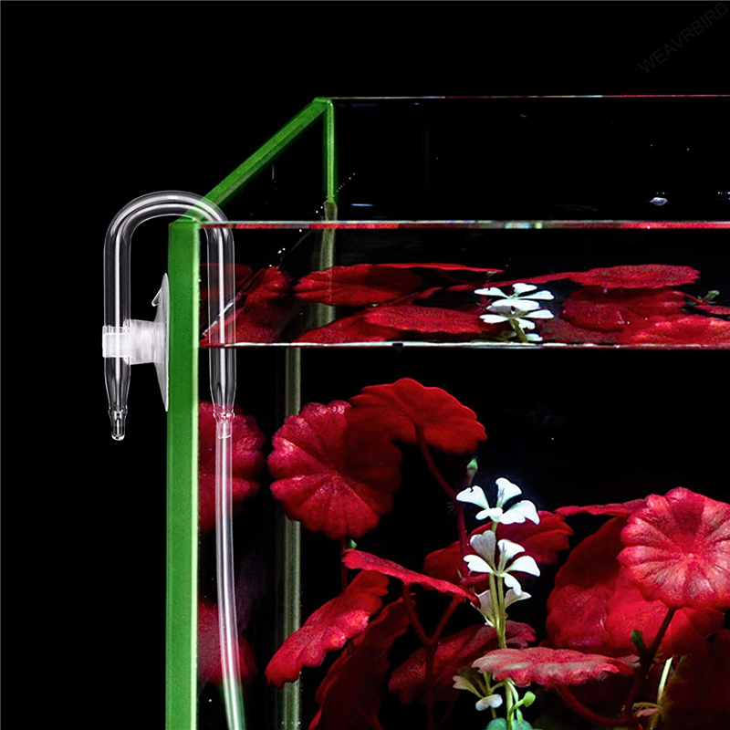 Aquarium U Shaped Air Pipe Con - Aquarium Fish Youtube recension och pris