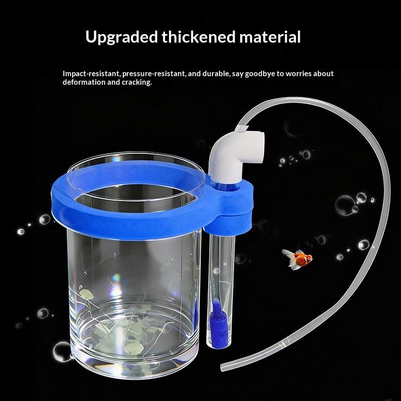 Transparent Acrylic Fish Breed - Box Fish In Aquarium recension och pris