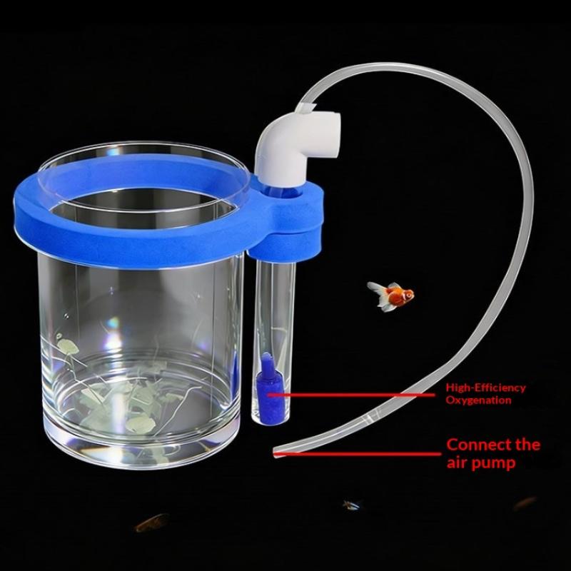 Transparent Acrylic Fish Breed - Box Fish In Aquarium recension och pris