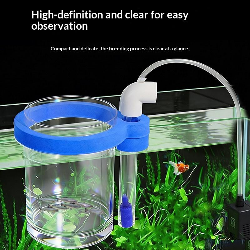 Transparent Acrylic Fish Breed - Box Fish In Aquarium recension och pris