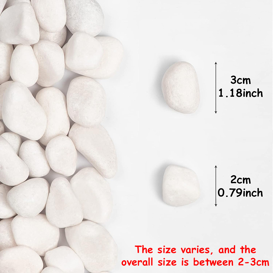 200/400g White High Polished N - Aquarium Fish Farm recension och pris