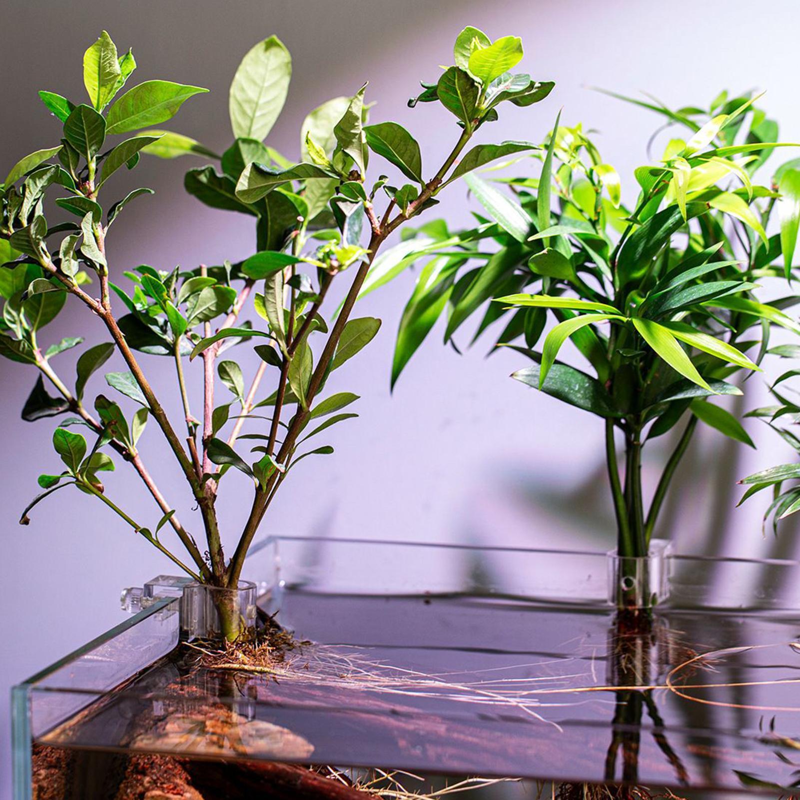 Mini Fish Tank Planter Pot 6Pc - Aquarium Fish Elevator recension och pris
