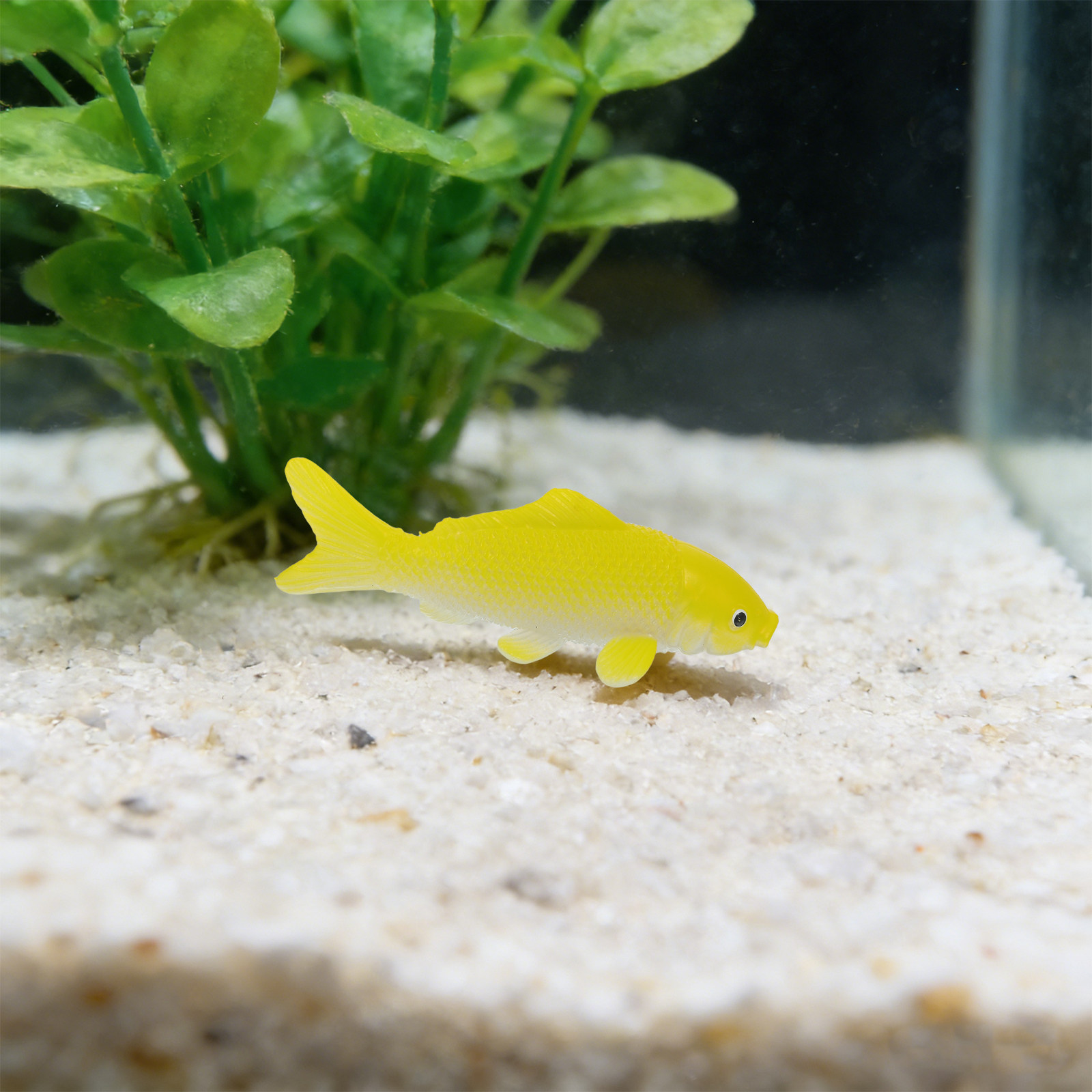 3pcs Fish Crafts Toys Realisti - Aquarium Goldfish recension och pris