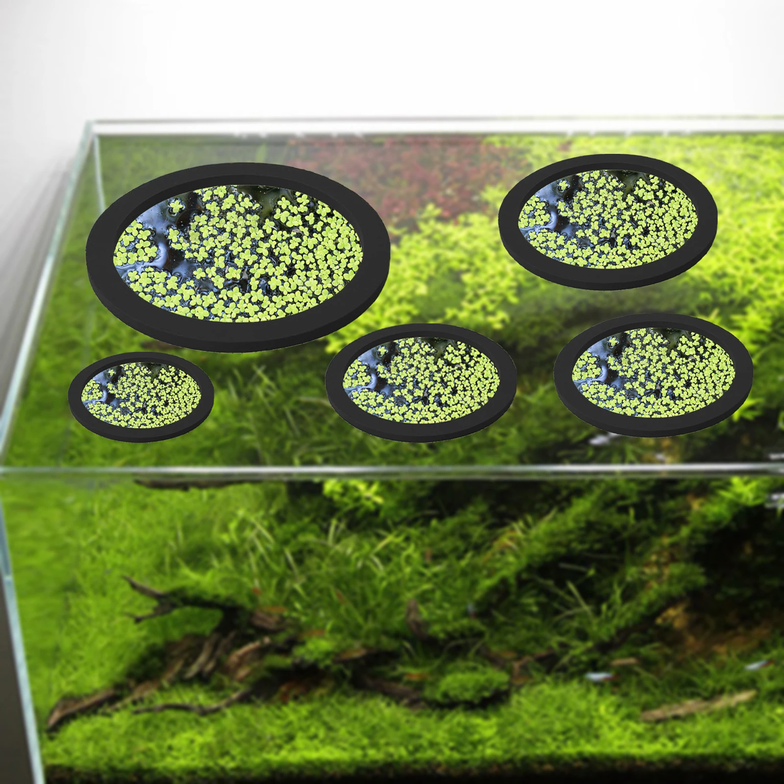 5Pcs EVA Fish Feeding Ring Aqu - Aquarium Fish Farm recension och pris