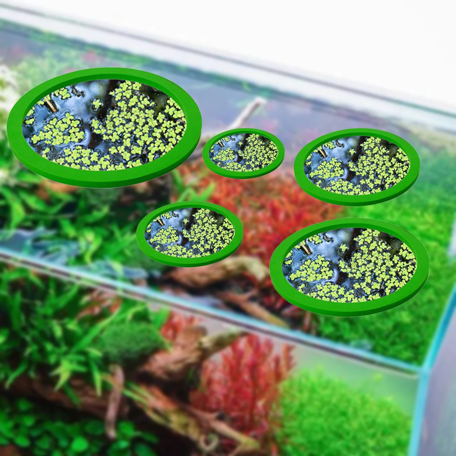 5Pcs EVA Fish Feeding Ring Aqu - Aquarium Fish Farm recension och pris