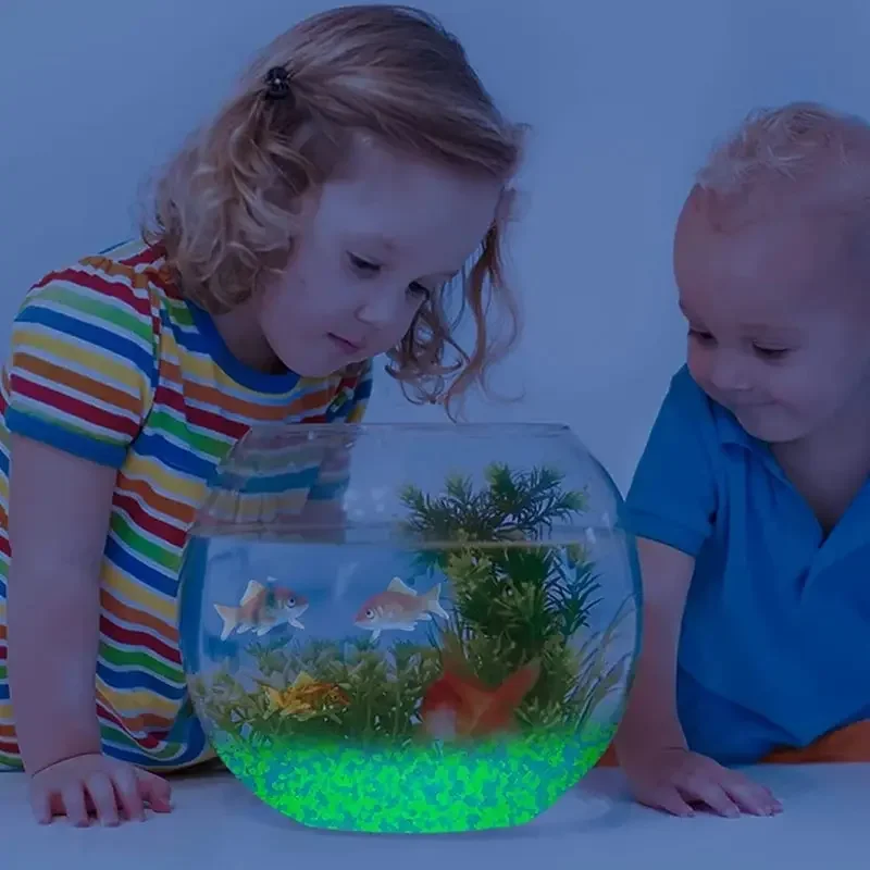 1000pcs 3-5mm Luminous Sand Gl - Aquarium Fish Farm recension och pris