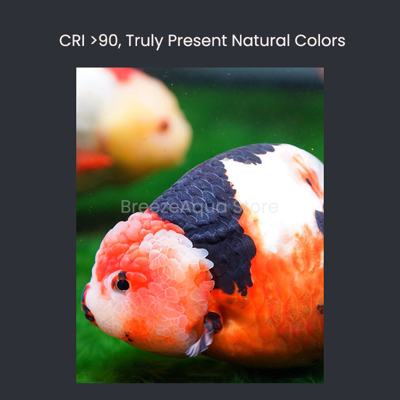 MAYIN Super Colour 100W Freshw - Aquarium Goldfish recension och pris