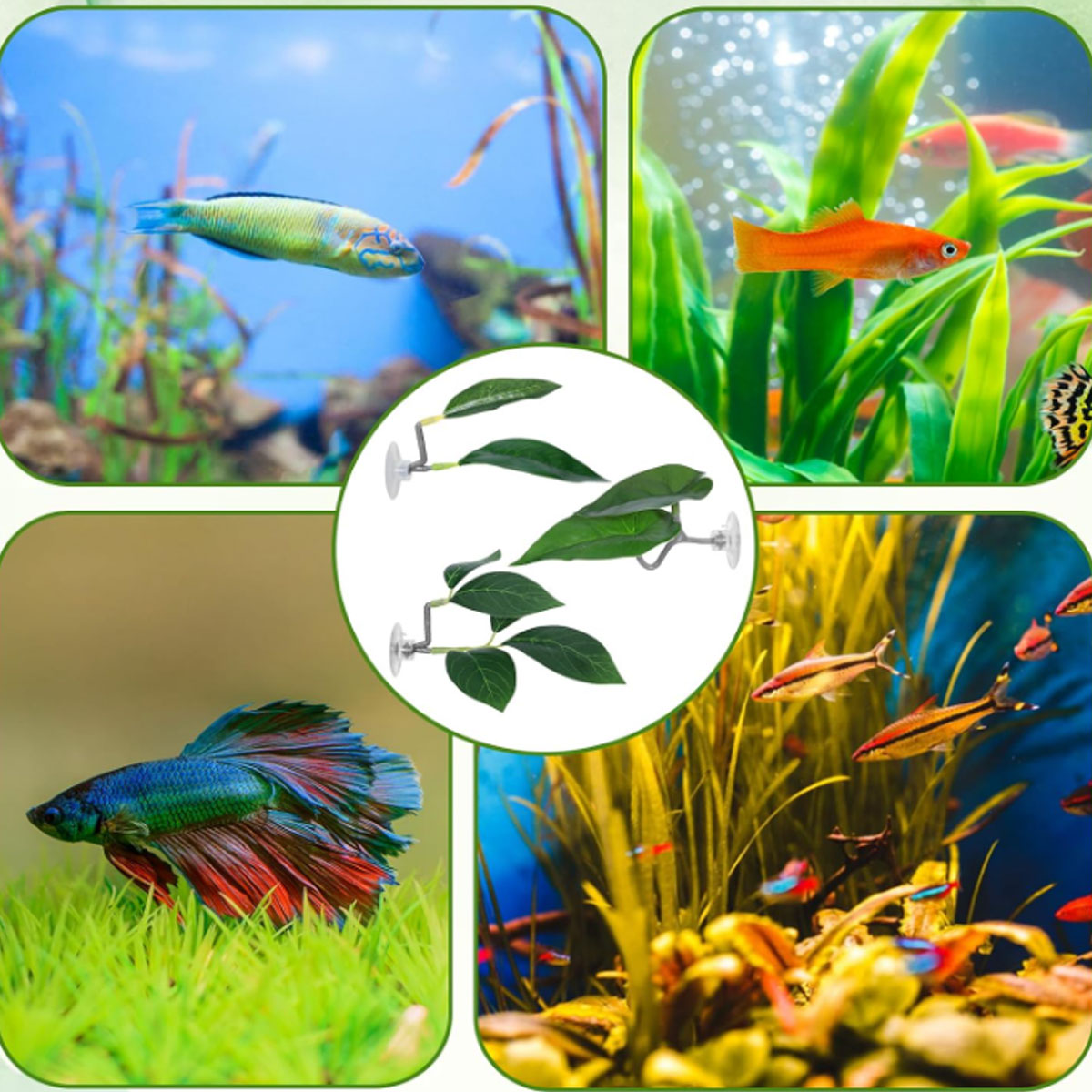 1 PC Betta Fish Hammock Soft A - Aquarium Fish Only recension och pris