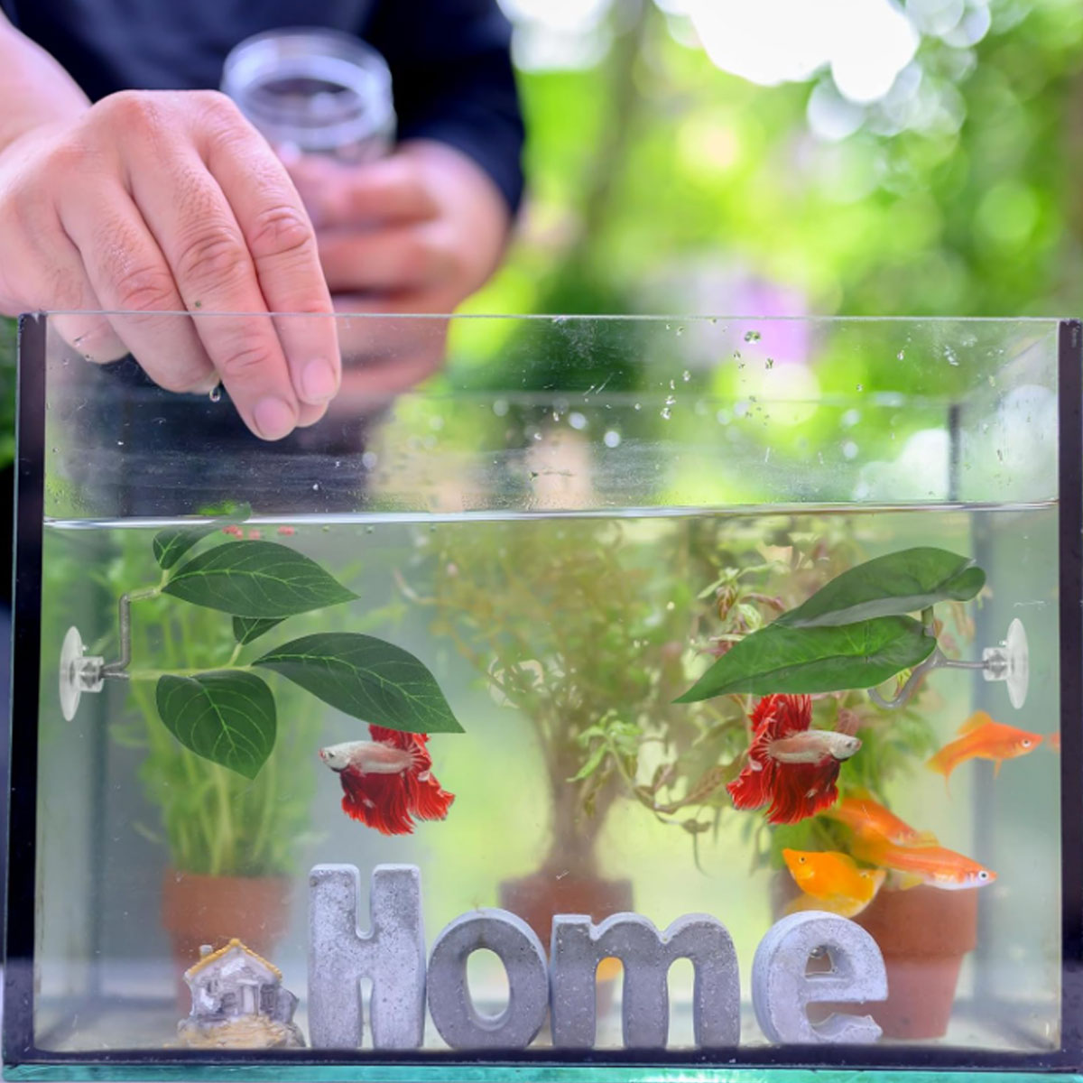1 PC Betta Fish Hammock Soft A - Aquarium Fish Only recension och pris