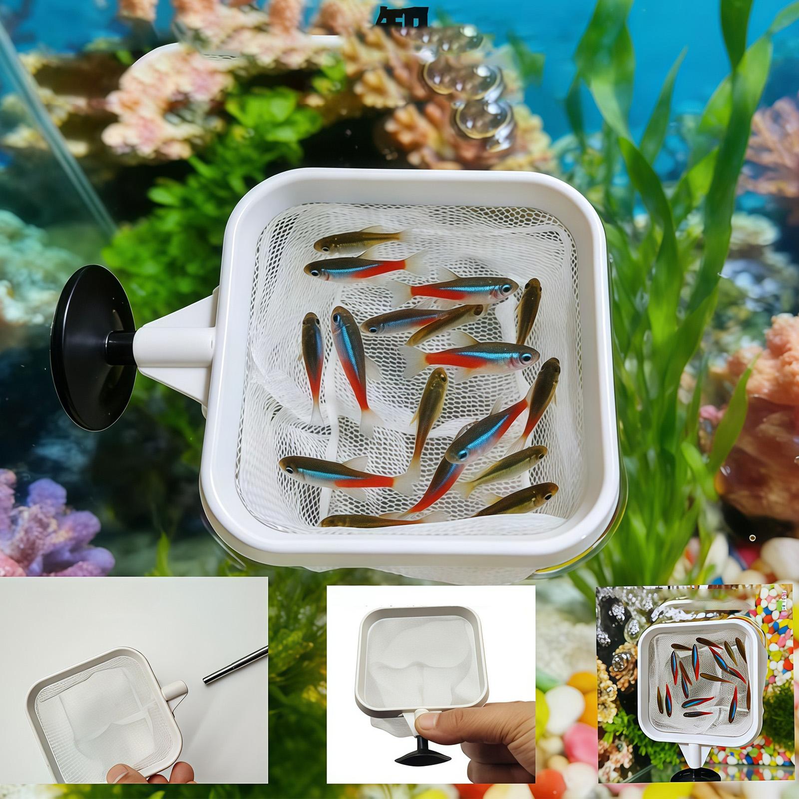 Extendable Long Handle Fine Me - Aquarium Fish Long recension och pris