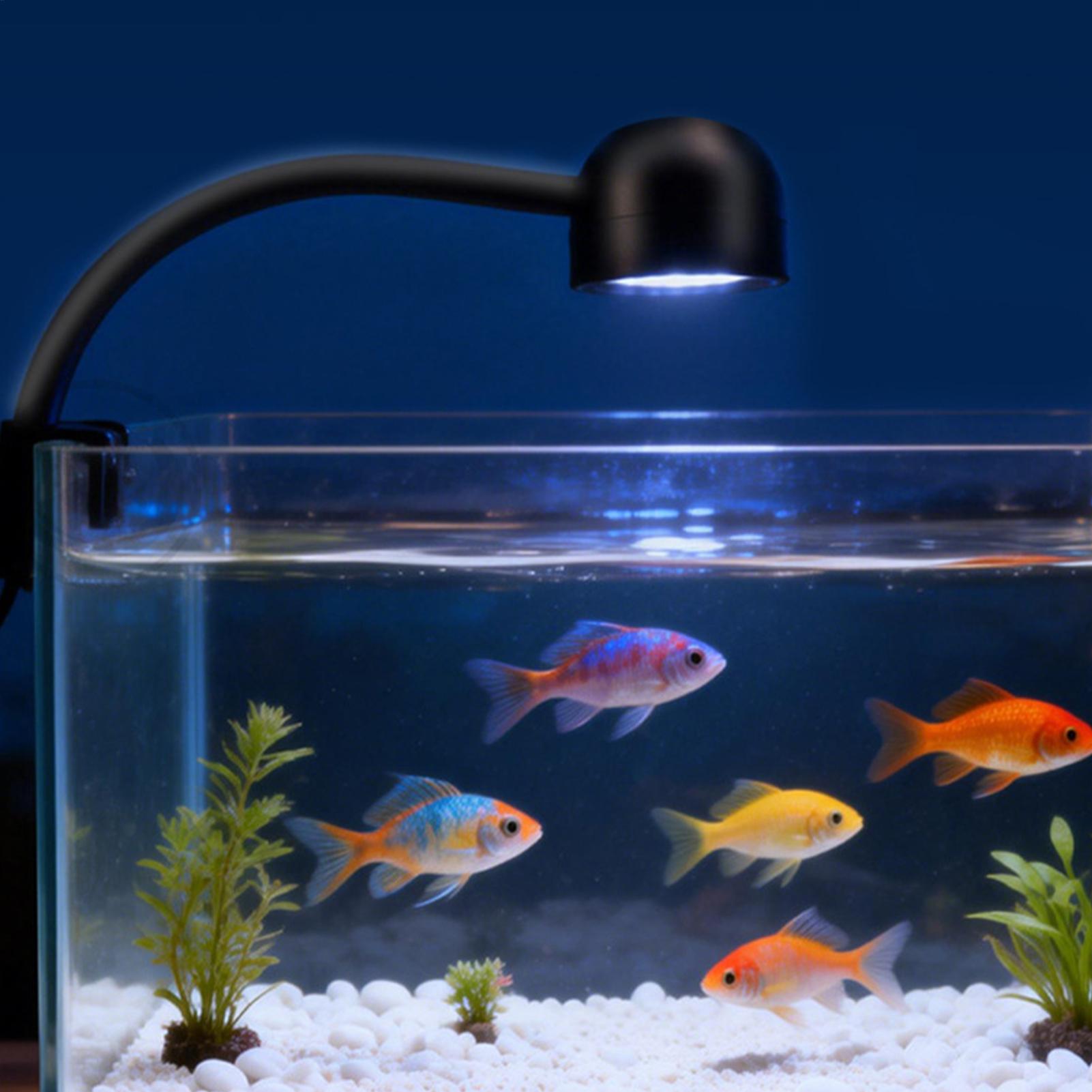 LED Fish Tank Light 360 Rotata - Aquarium Fish Live recension och pris